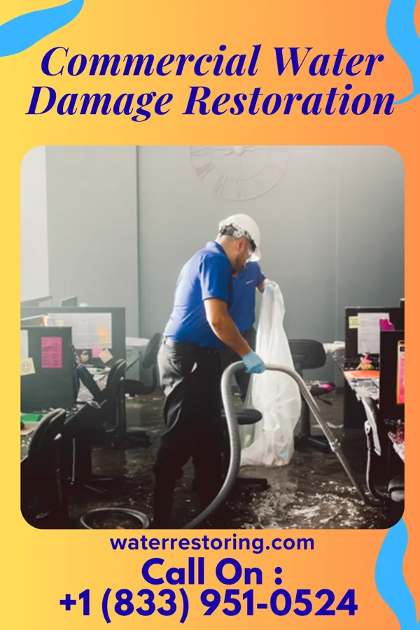 Commercial Water Damage Restoration in Walthill, NE