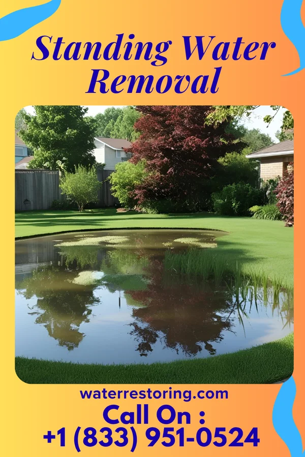 Standing Water Removal in Walthill, NE